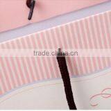 Special Best Selling Glossy Paper Gift Bag