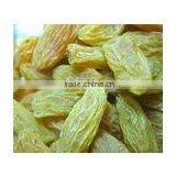 California Raisins,green Raisin, Sultana Raisins thumbnail-1