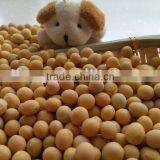 Organic Soya Beans( New Crop,Heilongjiang Origin) thumbnail-4