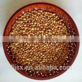 JSX OEM available cowpeas price selective export cooking with black beans