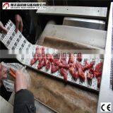 Continuous Tunnel Industrial Meat Microwave Dryer/Meat Dehydrator/Meat Thawing Machine