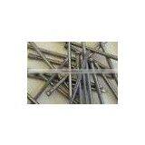 Common Nail thumbnail-1