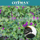 Bio Amino Acid Liquid Fertilizer thumbnail-1