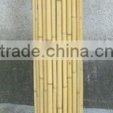bamboo rolled fence