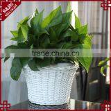 S&D Rattan Small White Round Plastic Flower Pots Light Ceramic Flower Pot Yard Decoration