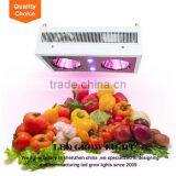 Tiny Houses Hydroponic Growing Systems Full Spectrum UV & COB LED Plants Grow Light thumbnail-1
