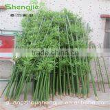 SJLJ013508 Guangzhou Shengjie Wholesale Artificial Plant and Tree / Fake Bamboo Plant thumbnail-3