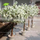 GNW BLS027 5ft White Artificial Cherry Wedding Tree Home Office Decoration Bonsai
