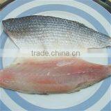 Land Frozen Grey Mullet Fillet With Size IQF Processing thumbnail-1