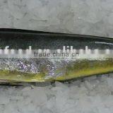 Frozen Gutted Mahi Mahi thumbnail-1