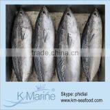 New Product Land Frozen Bonito Fish Lot Number#kmw4357 thumbnail-1
