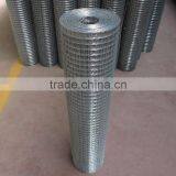 Electric Galvanized Welded Wire Netting Factory Price thumbnail-4