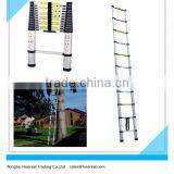 Portable Aluminum Telescopic Telescoping Ladder Extendable Extend Fold