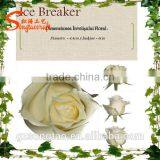 Chinese Wonderful and Beautiful Rose , Similation 90%with Hand Touch Artificial Chinese Rose for Sale thumbnail-4