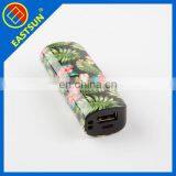 Eastsun Mini High Capacity Portable Charge Baby