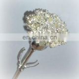 999 Silver Dipped Natural Carnation