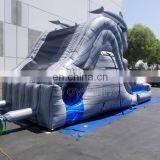 Gray Marble Double Dolphin Waterslide Large Inflatable Water Slide For Kids thumbnail-3