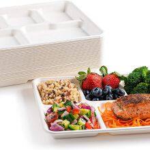 Biodegradable Sturdy Leak-proof Microwave Safe Bagasse 5-compartment Trays for Family Gatherings thumbnail-2