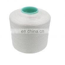 Factory Supply High Quality Filament 100% Polyester Nylon 6 Nylon 66 Sewing Thread 150/3 210/3 280/3 300/3 thumbnail-5