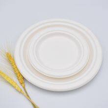 Disposable Plate, Degradable Thickened Paper Plate, Eco-friendly Tableware, Birthday Cake Plate, Heatable Pulp Dinner Plate, Picnic Plate thumbnail-3