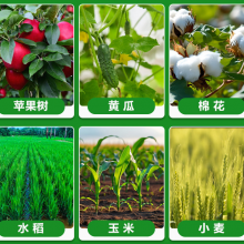 High Purity Agrochemical Thidiazuron Tdz 98%TC thumbnail-2
