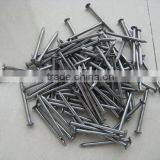 Bright Iron Nail