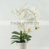 Best Selling Artificial Flower /wholesale Orchid for Indoor Home Decor Chinese Supplier thumbnail-1