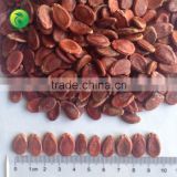red watermelon seed wholesalers china