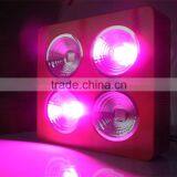 200-1200W Led Grow Light Full Spectrum for Plant, Cob Full Spectrum Led Grow Light Indoor Green House Use thumbnail-4
