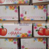 High Grade Qinguan Apples thumbnail-6