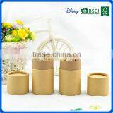 3.5' New Design 24 Pcs Color Pencil Sets for Promotion