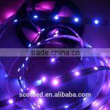 WS2813 5050 Led Strip RGB Addressable, 5V Digital Addressable Rgb Led Strip thumbnail-4