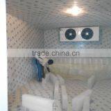 Commercial Gas Refrigerators Meat Storage Freezer Room thumbnail-5