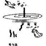 Express Service From China thumbnail-1