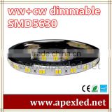 5630 dimmable led strip light warm white and cold white Shenzhen led strip
