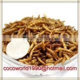 Mealworms Safe to Eat/pigeons Eat Mealworms/freeze Mealworms thumbnail-3