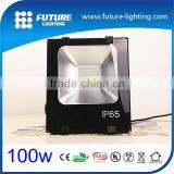 2015 Hot Sale High Power 120lm/w Epistar 3030 SMD 100W LED Floodlight