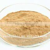 40% Polysaccharides (UV-VIS) Oyster Mushroom Extract Powder