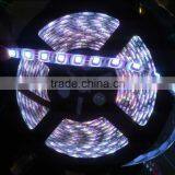 SMD 5050 LED Strips Light RGB High Quality 10M Waterproof Flexible Smart Lighting Battery Powered Flexible Led Strip Lights