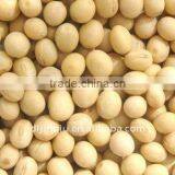 Soybean thumbnail-1