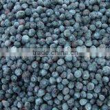 Bulk Wholesale Blueberry thumbnail-5