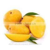 Organic Totapuri Mango Pulp thumbnail-1