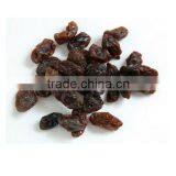 Raisins With High Quality thumbnail-1