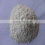 PURE WHITE ONION POWDER