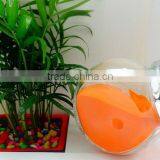 Marigold Oleoresin(Feed Grade) thumbnail-2