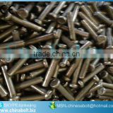 ISO 13918-1998 Unthreaded stud for arc stud welding(UT)