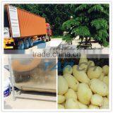 Industrial Use Large Capacity Potato Peeler thumbnail-1