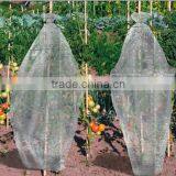 PE Agriculture Perforated Plastic Tomato Tube Film thumbnail-5