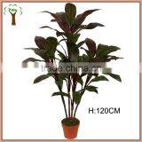 Artificial Wide Dracaena Leaf in Coffee Color for Commercial Decoration thumbnail-1