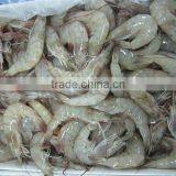 Vannamei Shrimps thumbnail-2